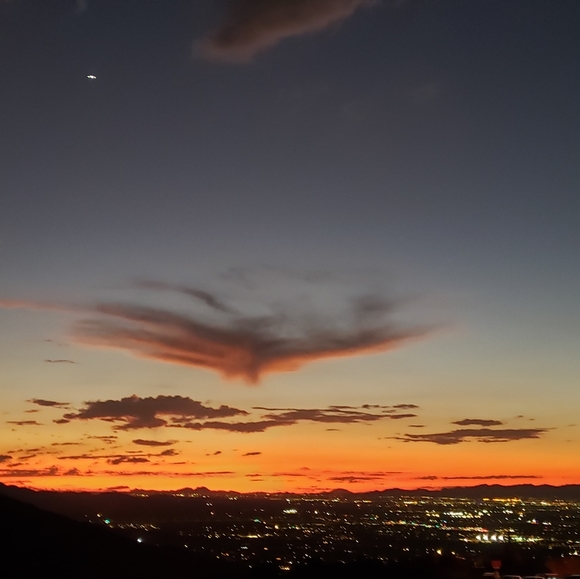 Meet your Posher, Tammy 💜🌷🙂 - Picture 4 of 4